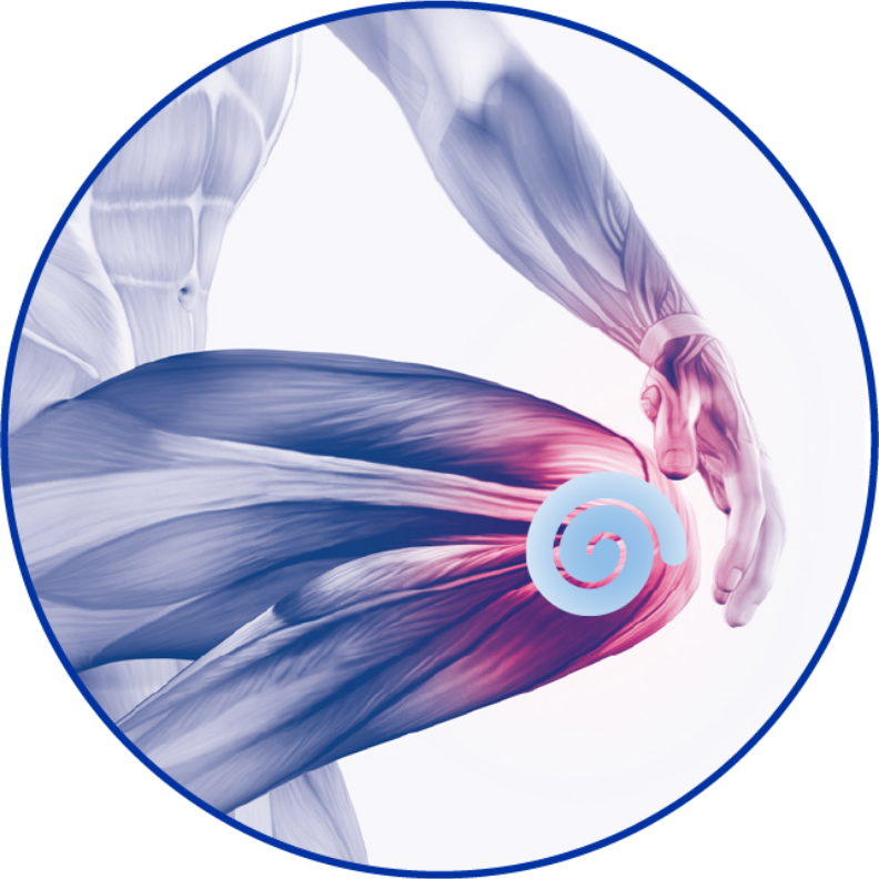 Knee